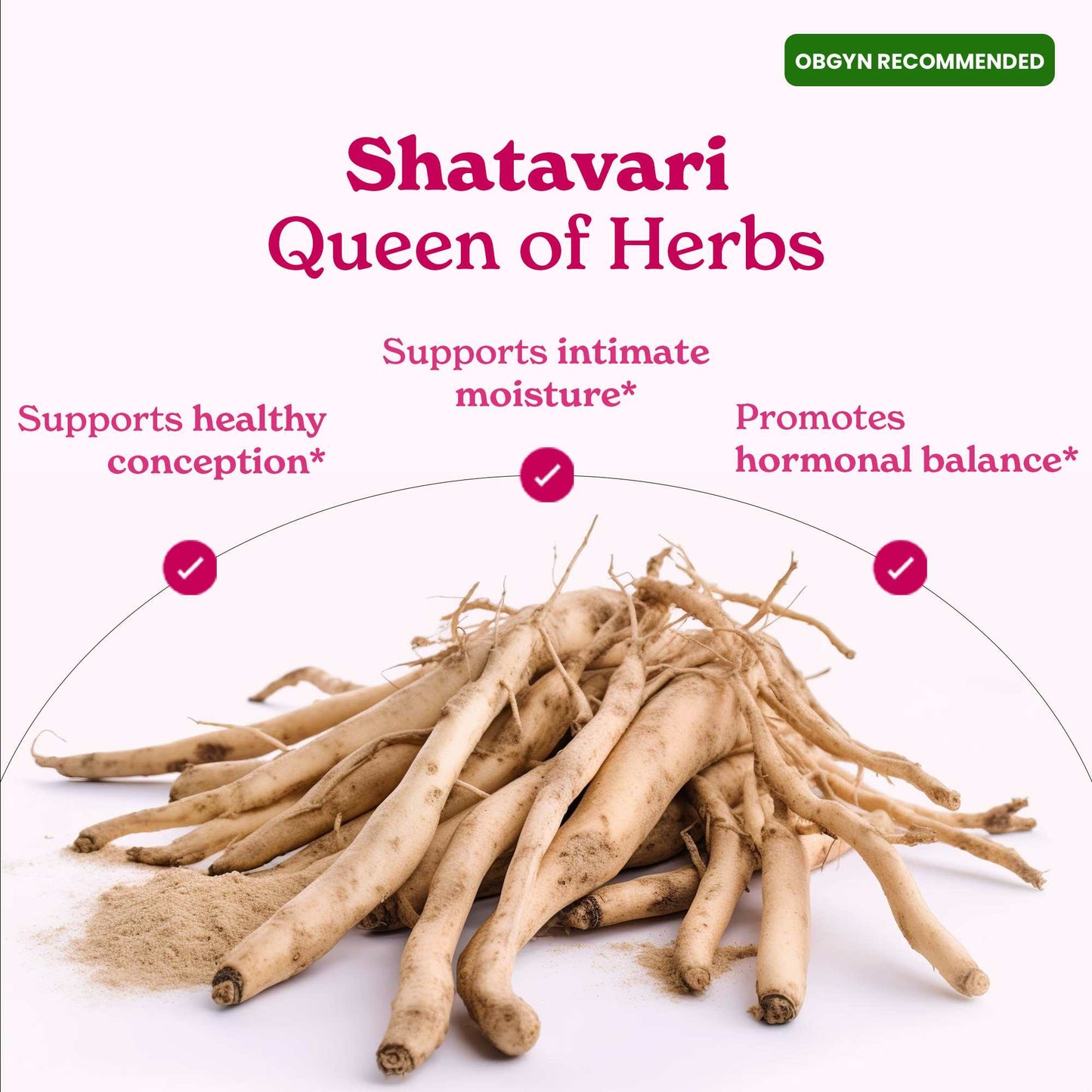 SHE-Lajit Multi-Mineral Honey Sticks